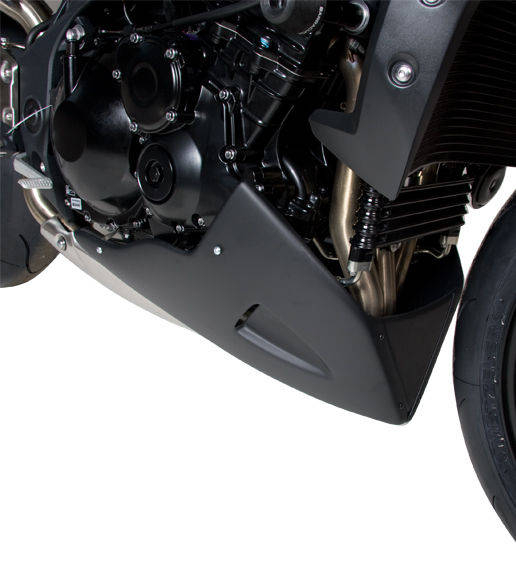 Motorspoiler Triumph Speed Triple